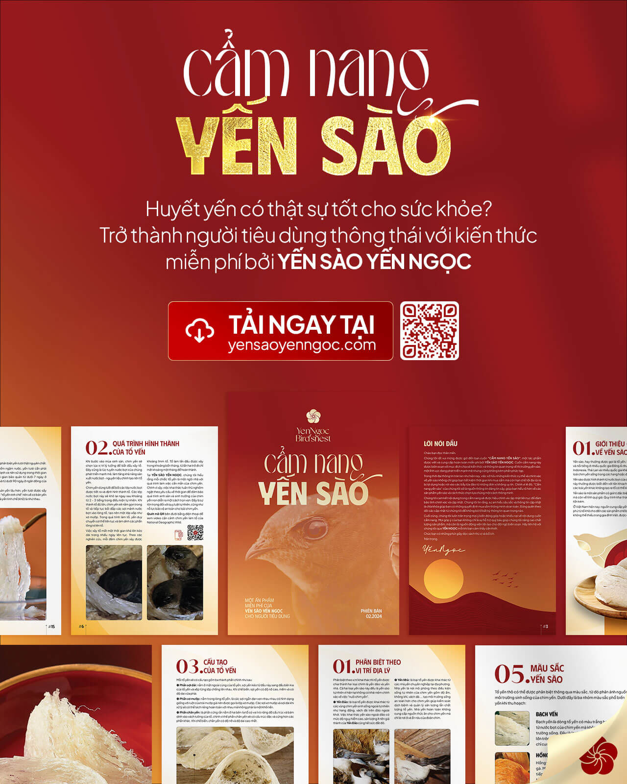 YẾN SÀO YẾN NGỌC • Yến sào cao cấp, tinh hoa dinh dưỡng từ thiên nhiên