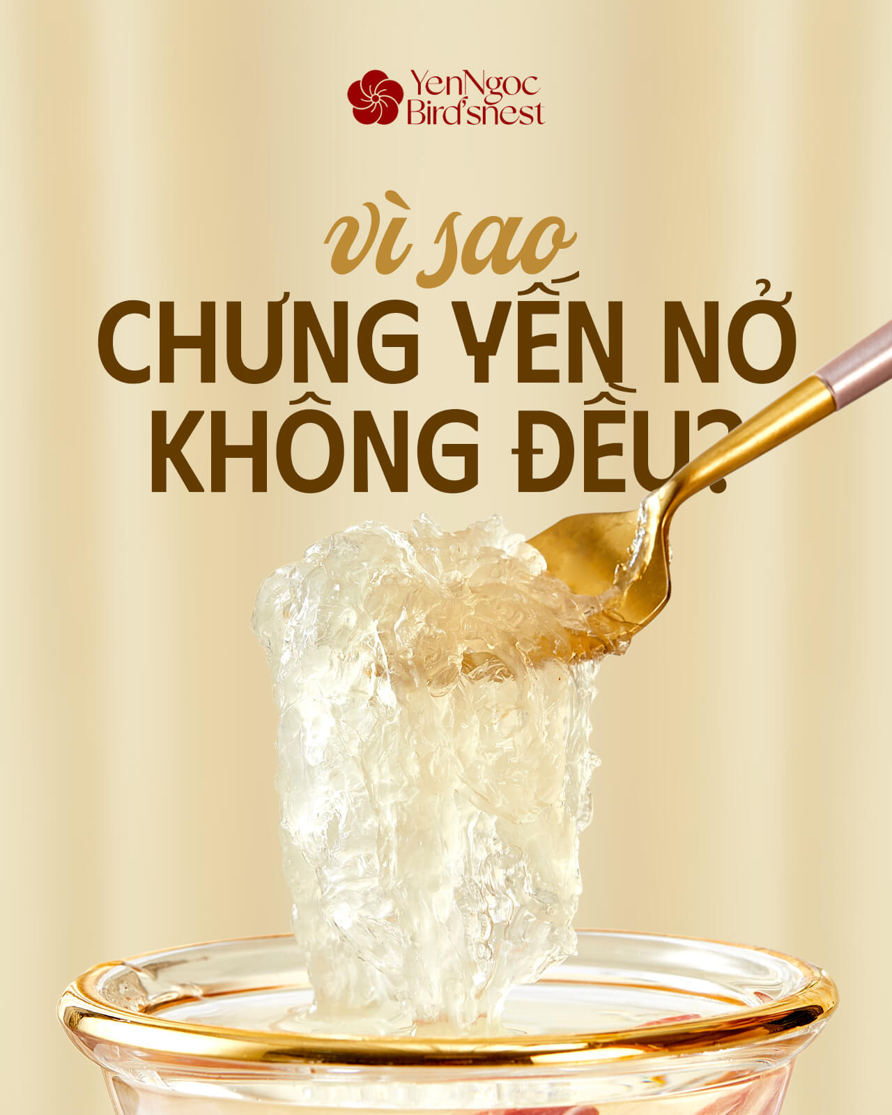 YẾN SÀO YẾN NGỌC • Yến sào cao cấp, tinh hoa dinh dưỡng từ thiên nhiên